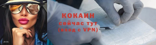 шишки Михайловка