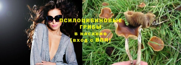 шишки Михайловка