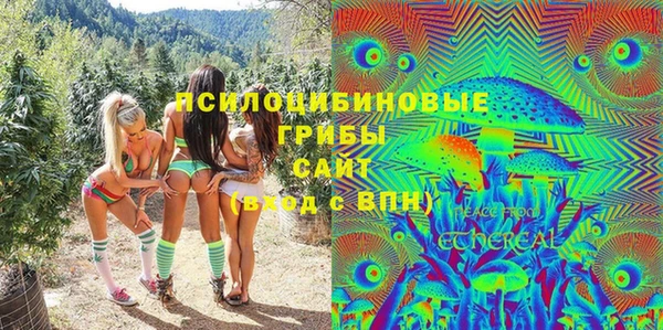 шишки Михайловка