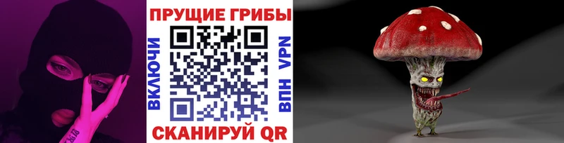 Псилоцибиновые грибы GOLDEN TEACHER  где можно купить   кракен ССЫЛКА  Красноуральск 